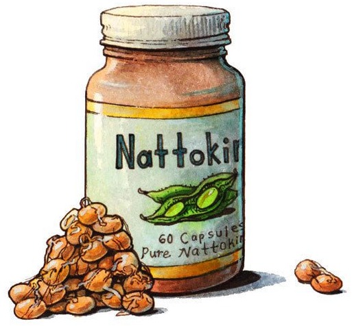 Fermented Soybeans - Source of Nattokinase